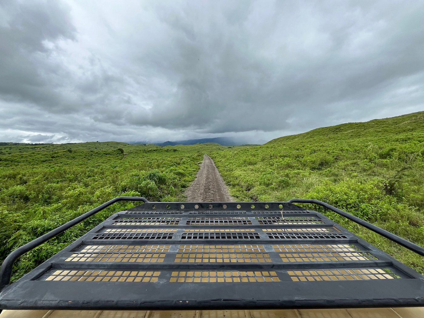 Photo from 6 Days Tanzania Safari to Lake Manyara, Serengeti & Ngorongoro Crater safari tour