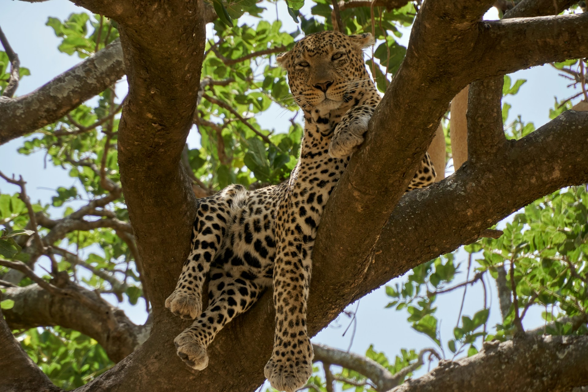Photo from 13 Days Safari Tanzania and Zanzibar safari tour
