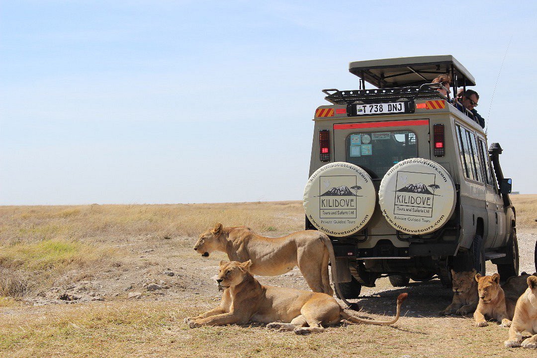 Front-Row to the Great Migration - A Private Luxury Safari