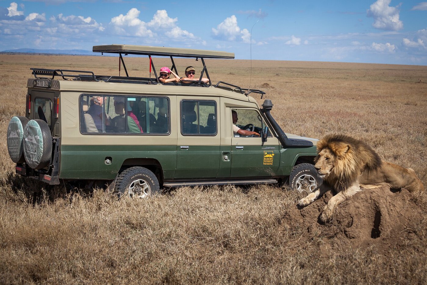5 Days in Tanzania: Arusha's Ultimate Safari Experience