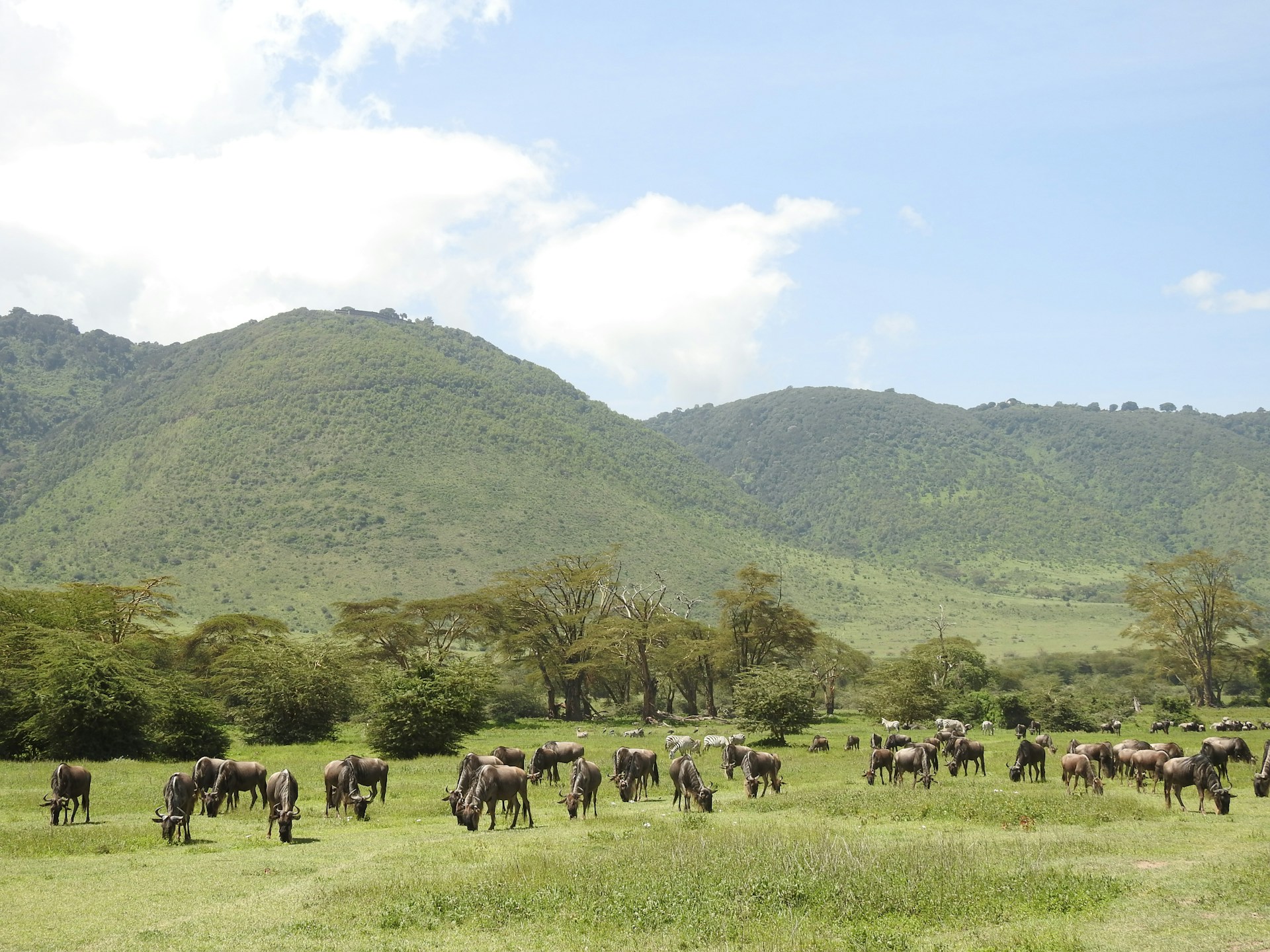 Photo from 7-Day Best of Tanzania & Zanzibar From the Bush to the Beach safari tour