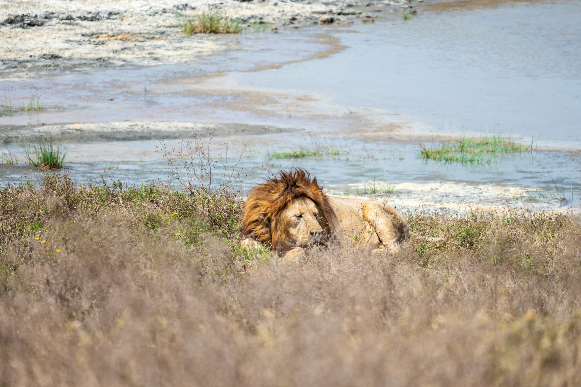 Photo from 7-Day Best of Tanzania & Zanzibar From the Bush to the Beach safari tour