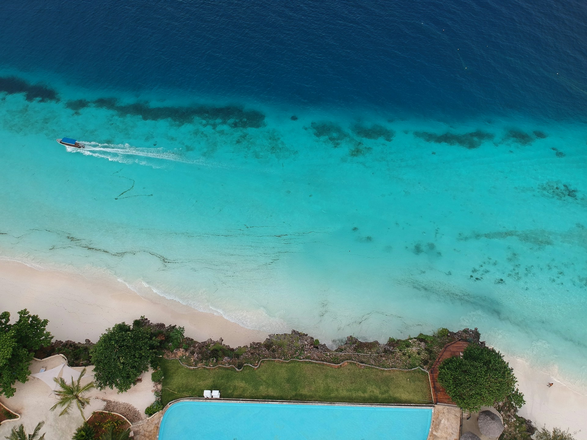 Photo from 7-Day Best of Tanzania & Zanzibar From the Bush to the Beach safari tour