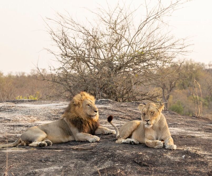 7-Day Classic Kruger Big 5 Explorer