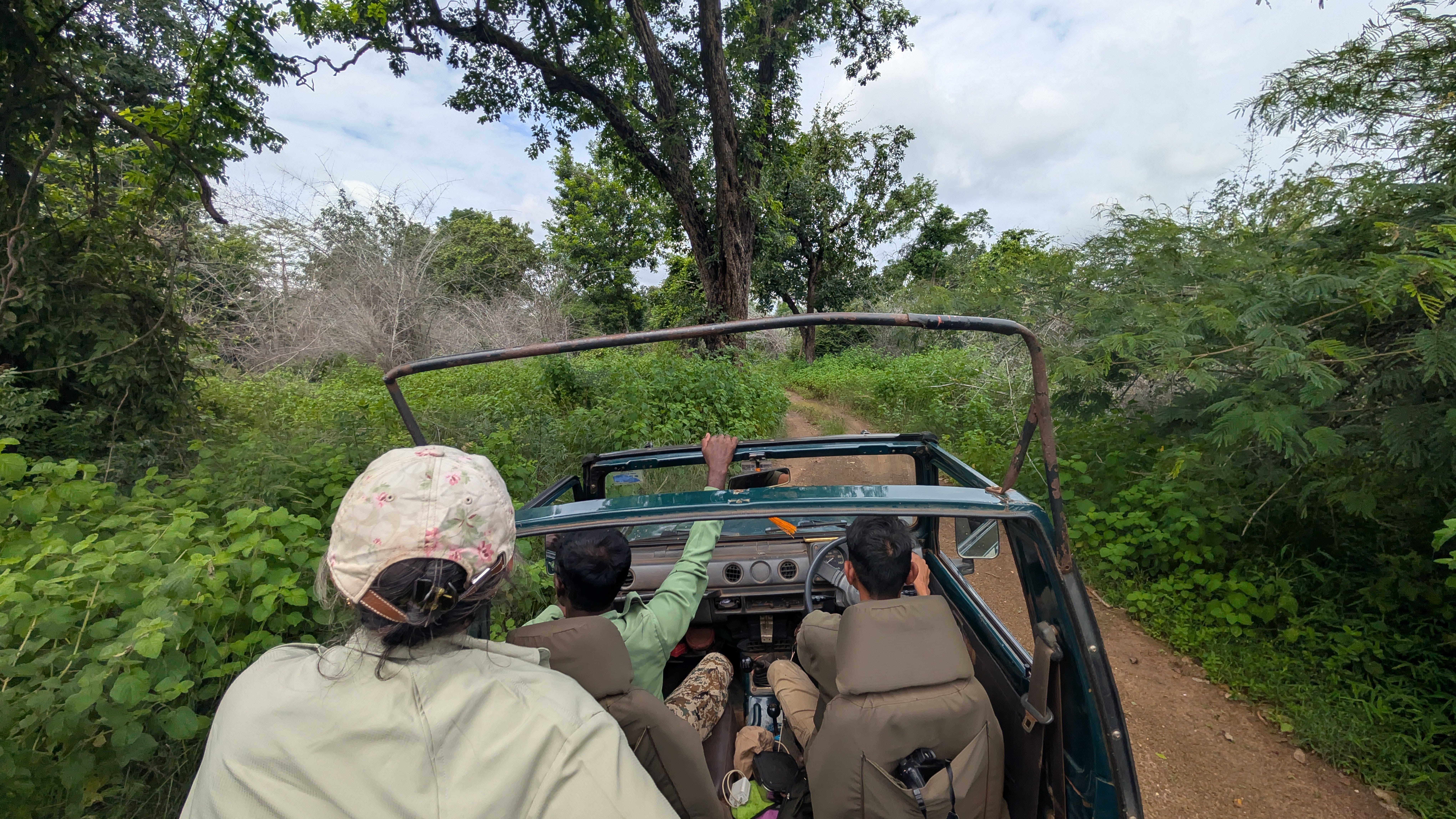 Photo from 15-Day India Wildlife Safari: Tigers, Rhinos & National Parks safari tour