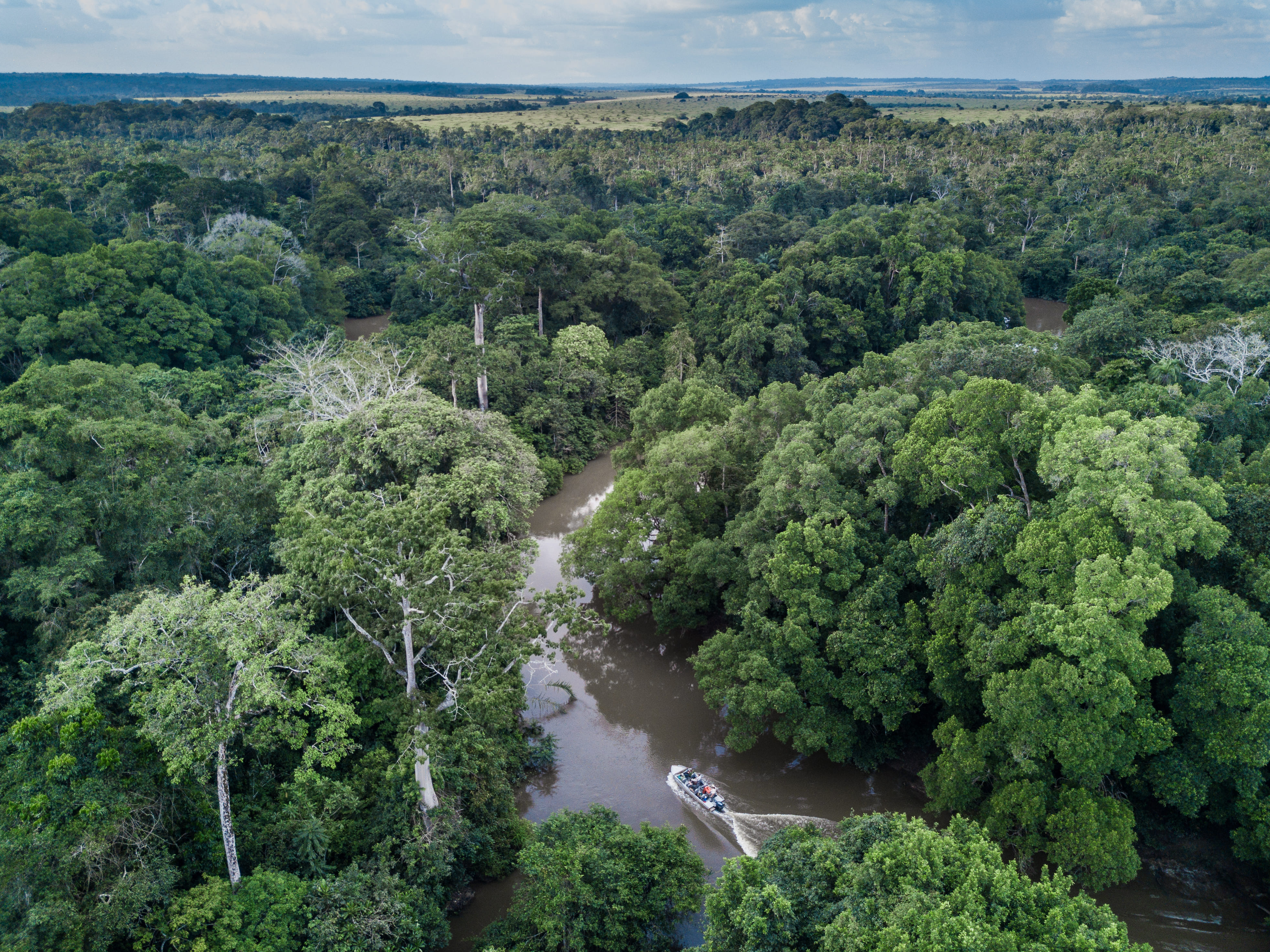 Photo from 10-Day Odzala Odyssey Gorilla Trekking & Congo Rainforest Safari safari tour