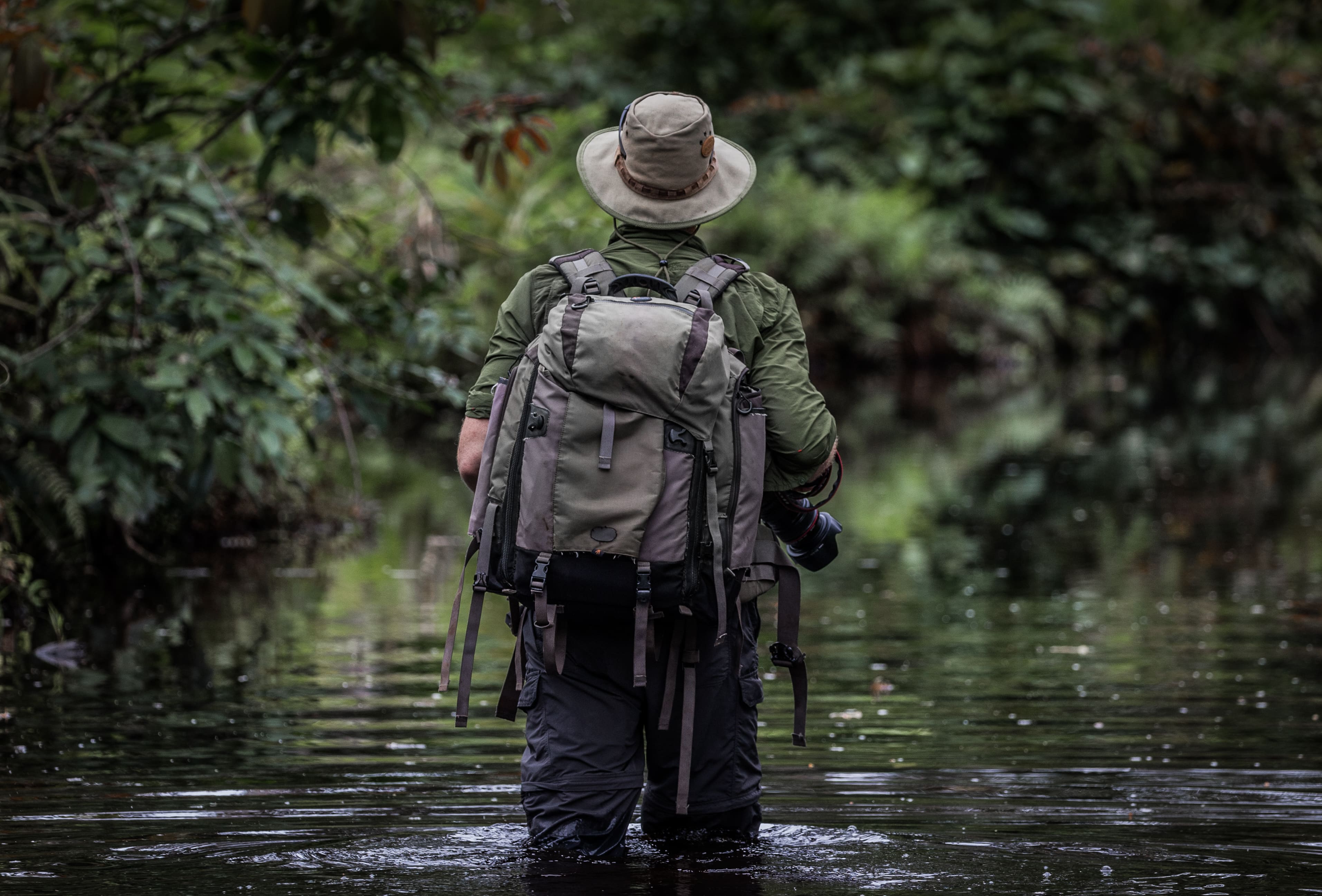 Photo from 10-Day Odzala Odyssey Gorilla Trekking & Congo Rainforest Safari safari tour