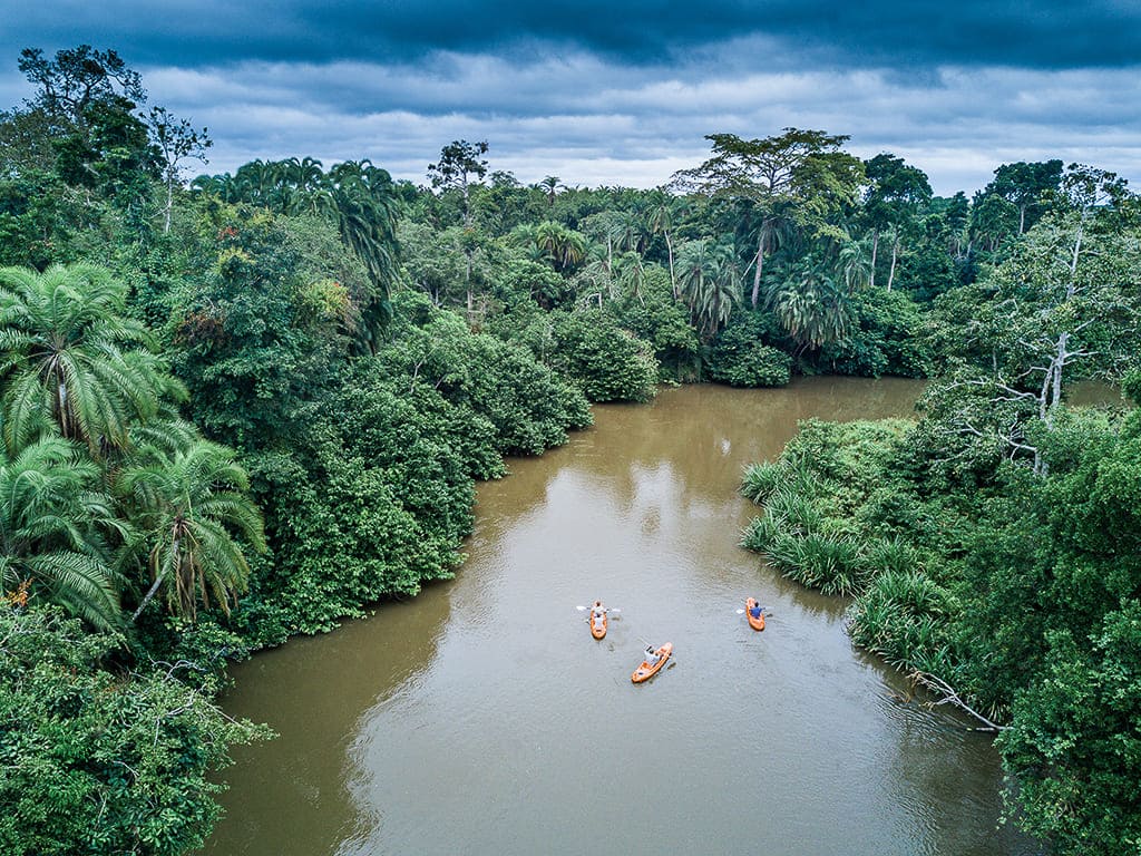 Photo from 8-Day Odzala Discovery Gorilla Trekking & Congo Rainforest Safari safari tour