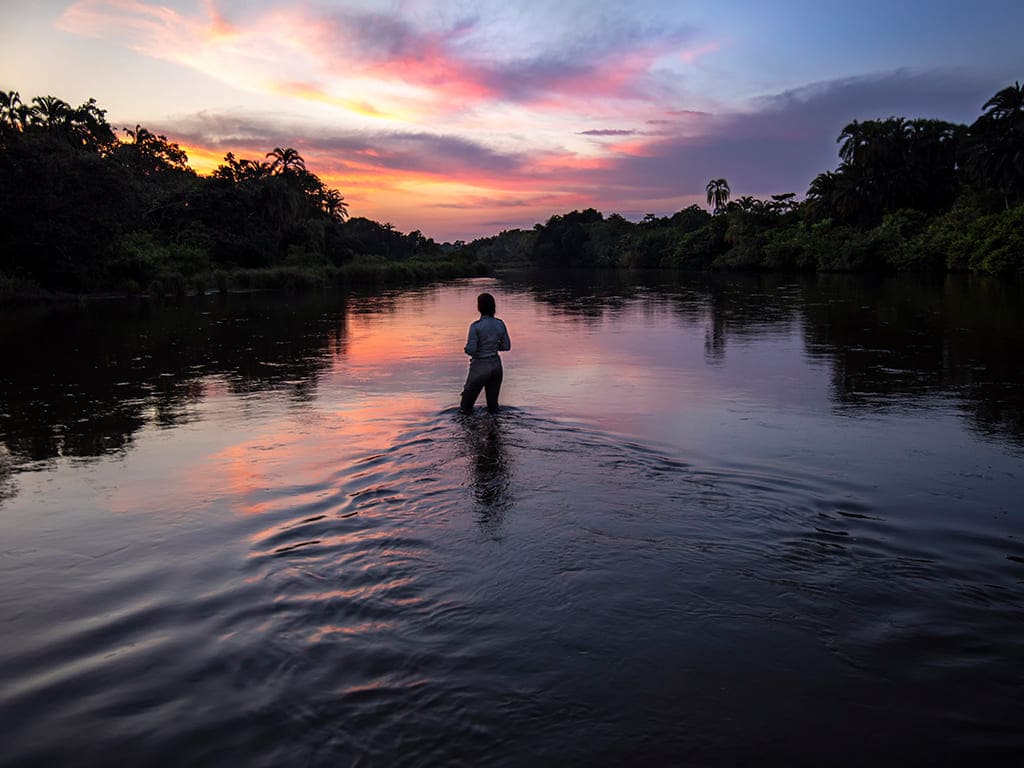 Photo from 8-Day Odzala Discovery Gorilla Trekking & Congo Rainforest Safari safari tour