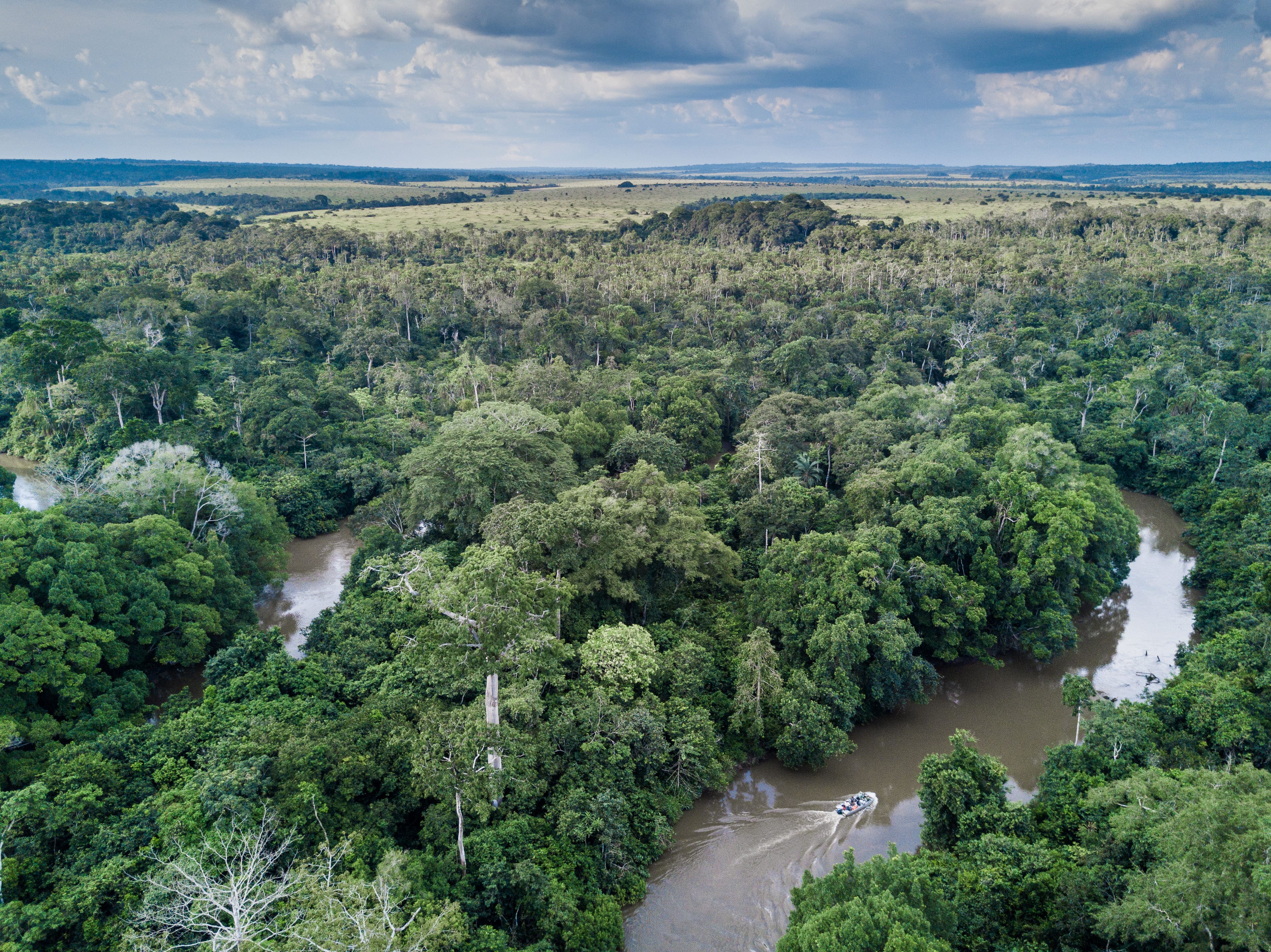 Photo from 8-Day Odzala Discovery Gorilla Trekking & Congo Rainforest Safari safari tour