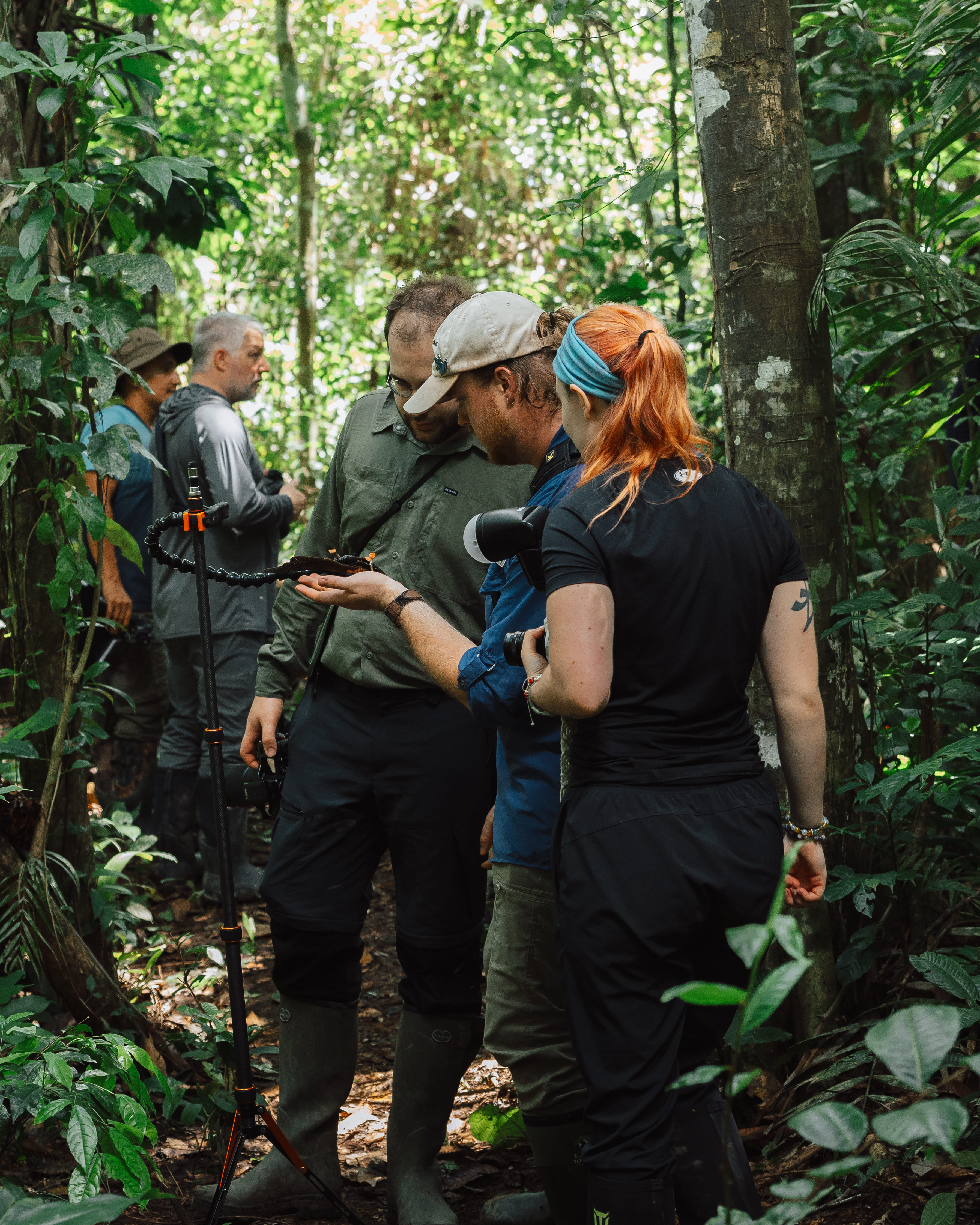 Photo from Peru Poison Frog Photography Tour safari tour