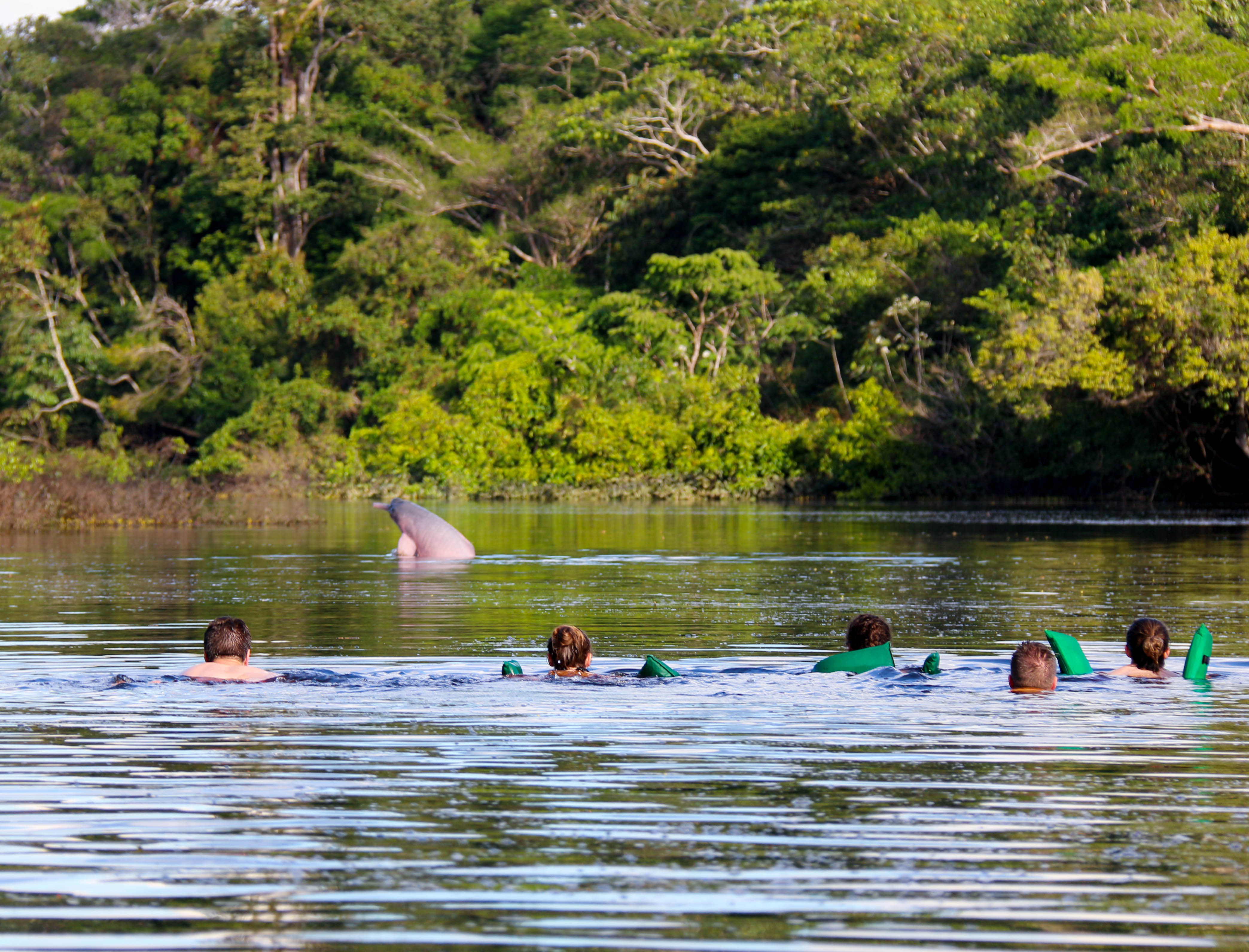 Photo from 12-Day Peruvian Amazon Wildlife and Research Expedition safari tour