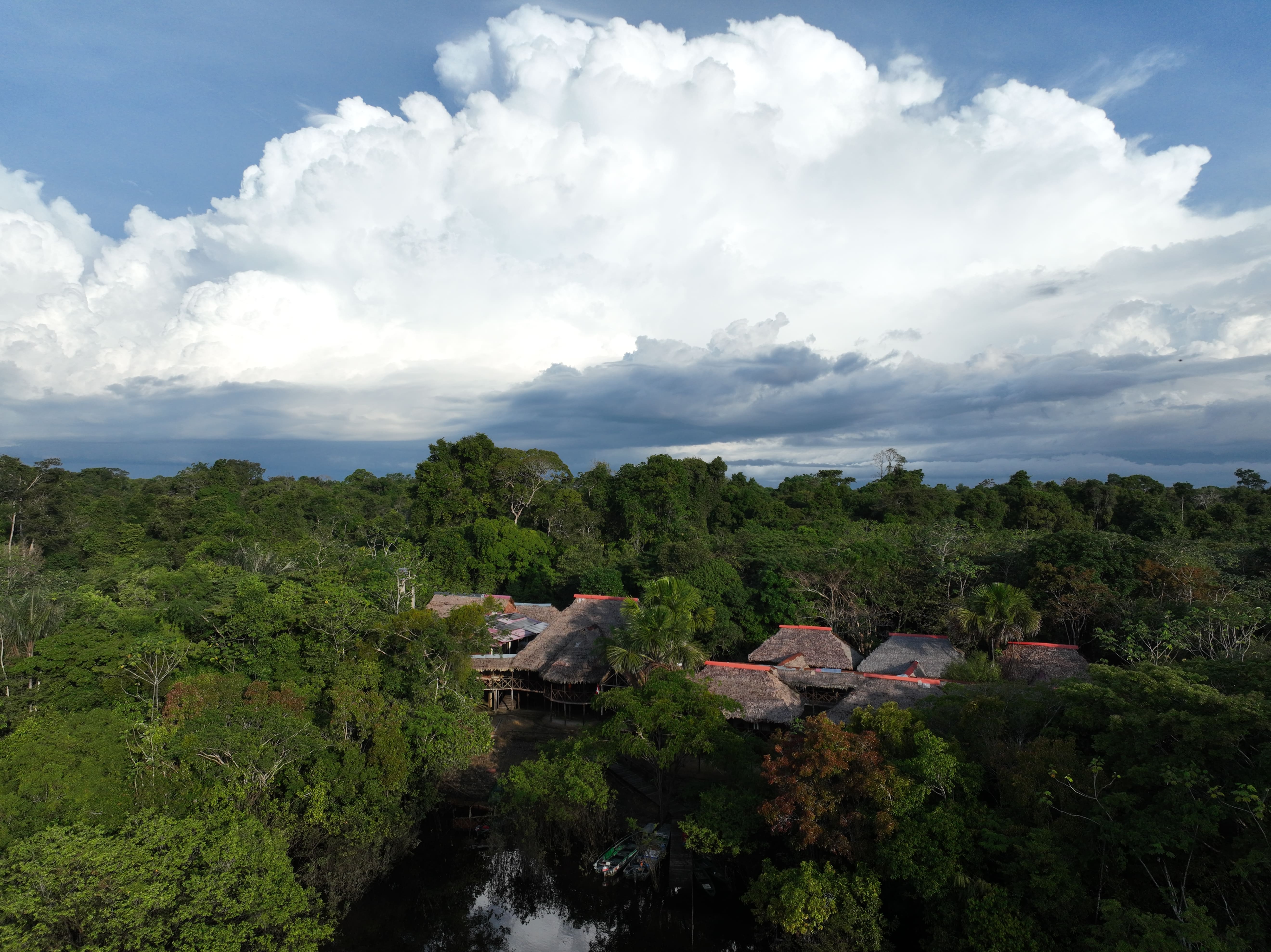 Photo from 10-Day Peruvian Amazon Birdwatching Expedition safari tour