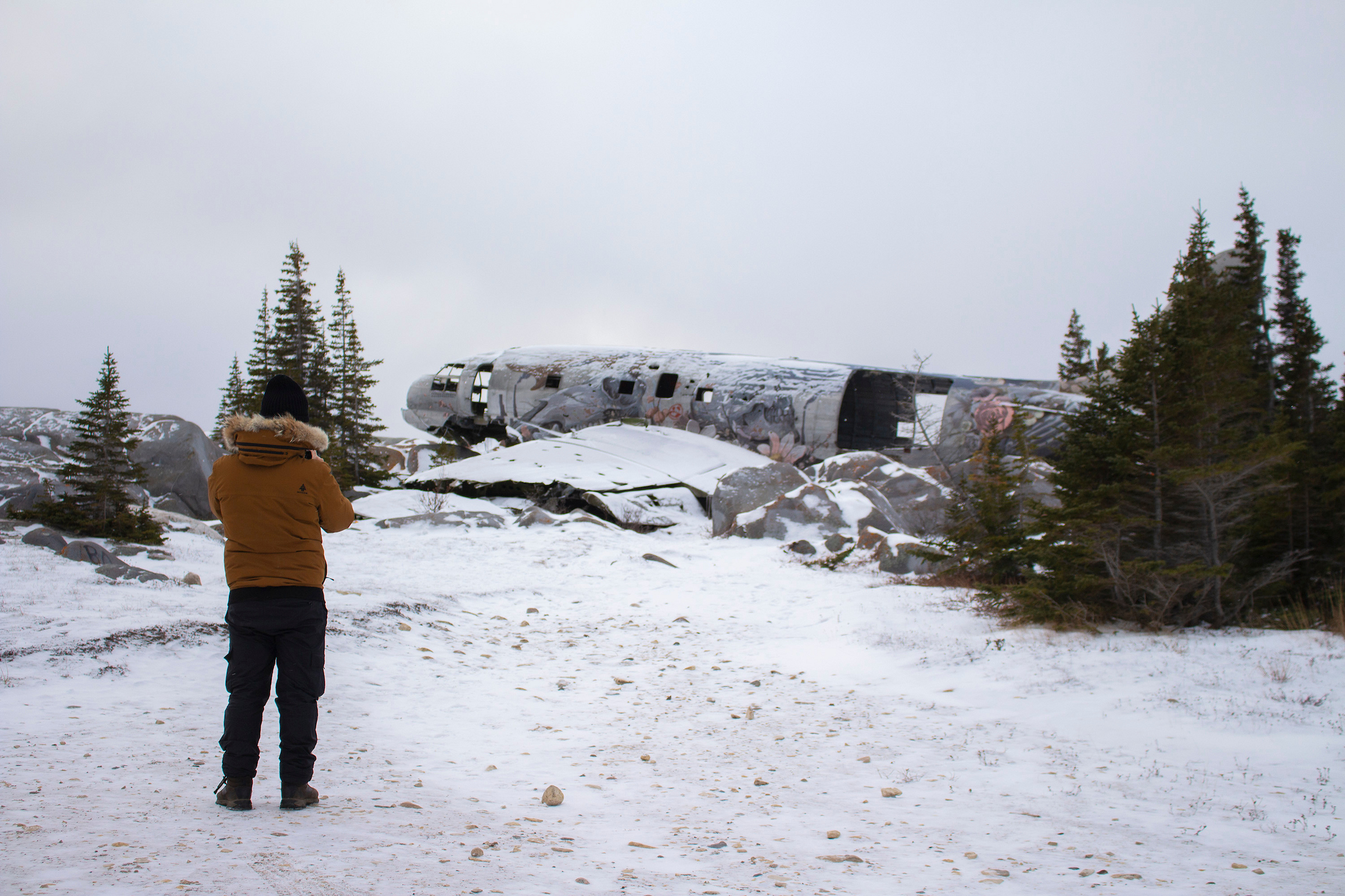 Photo from 7-Day Polar Bear Photography Adventure at Tundra Buggy Lodge safari tour