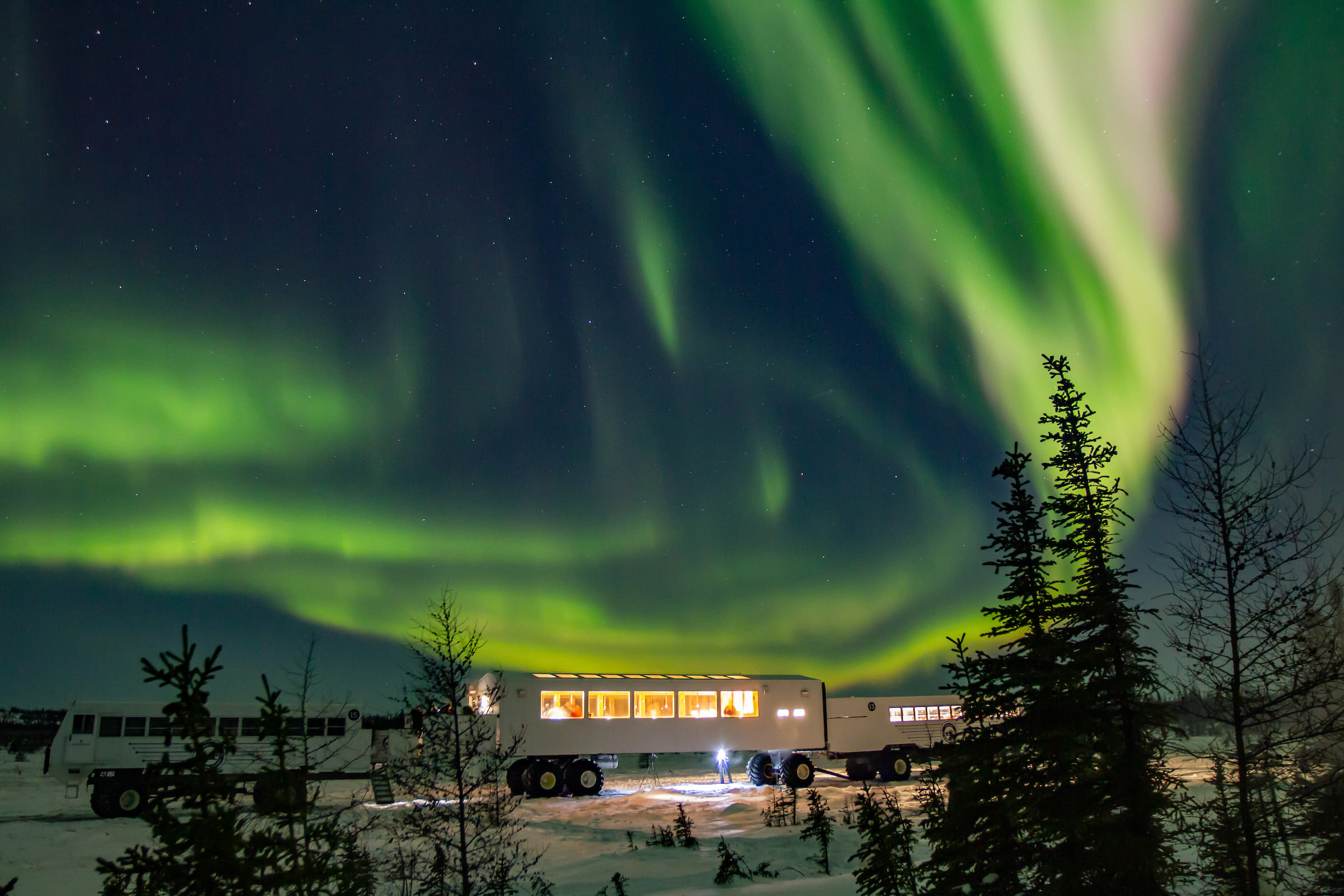 Photo from 7-Day Polar Bear Photography Adventure at Tundra Buggy Lodge safari tour