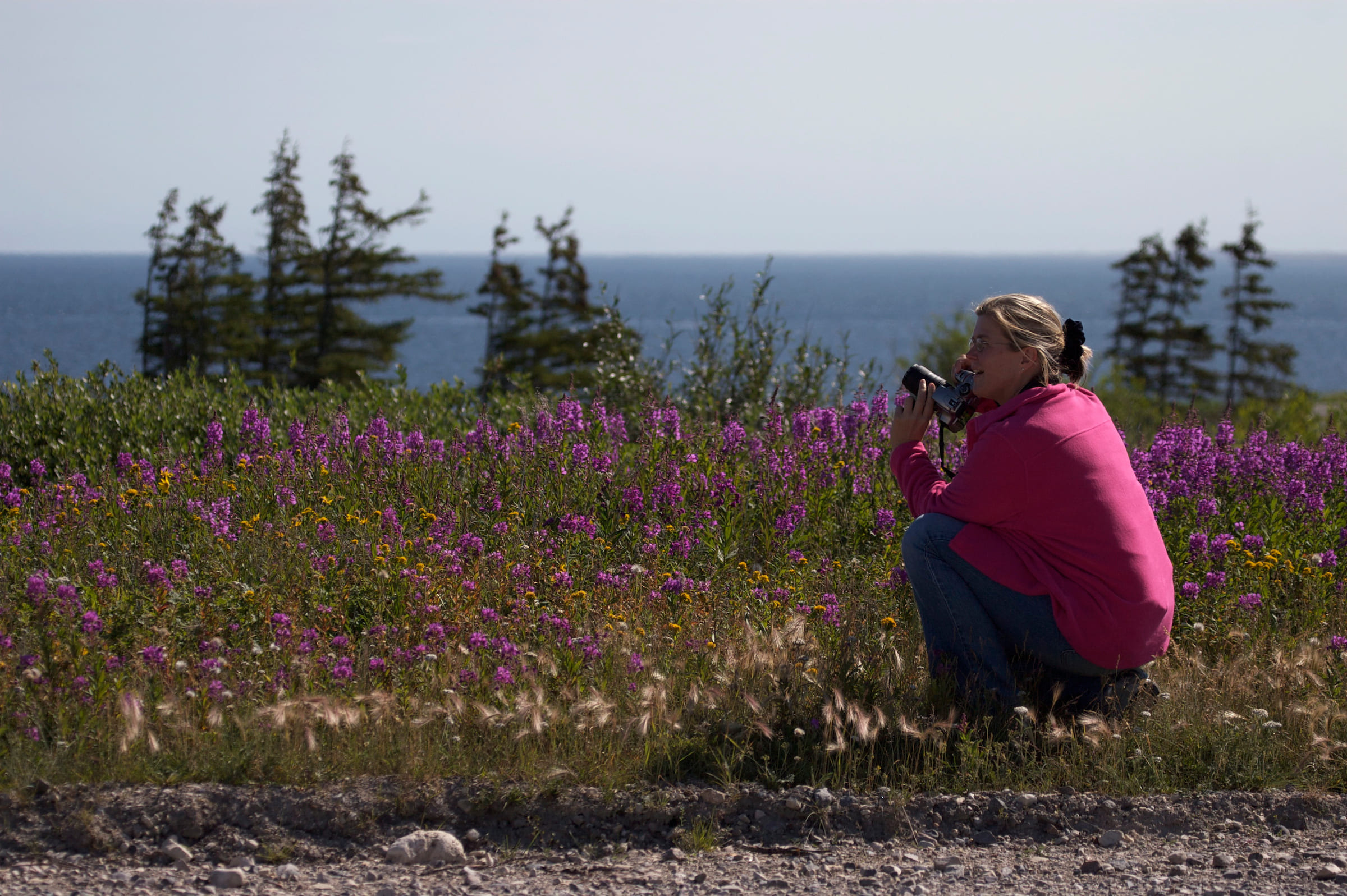 Photo from 7-Day Churchill Beluga Whale Photography Adventure safari tour