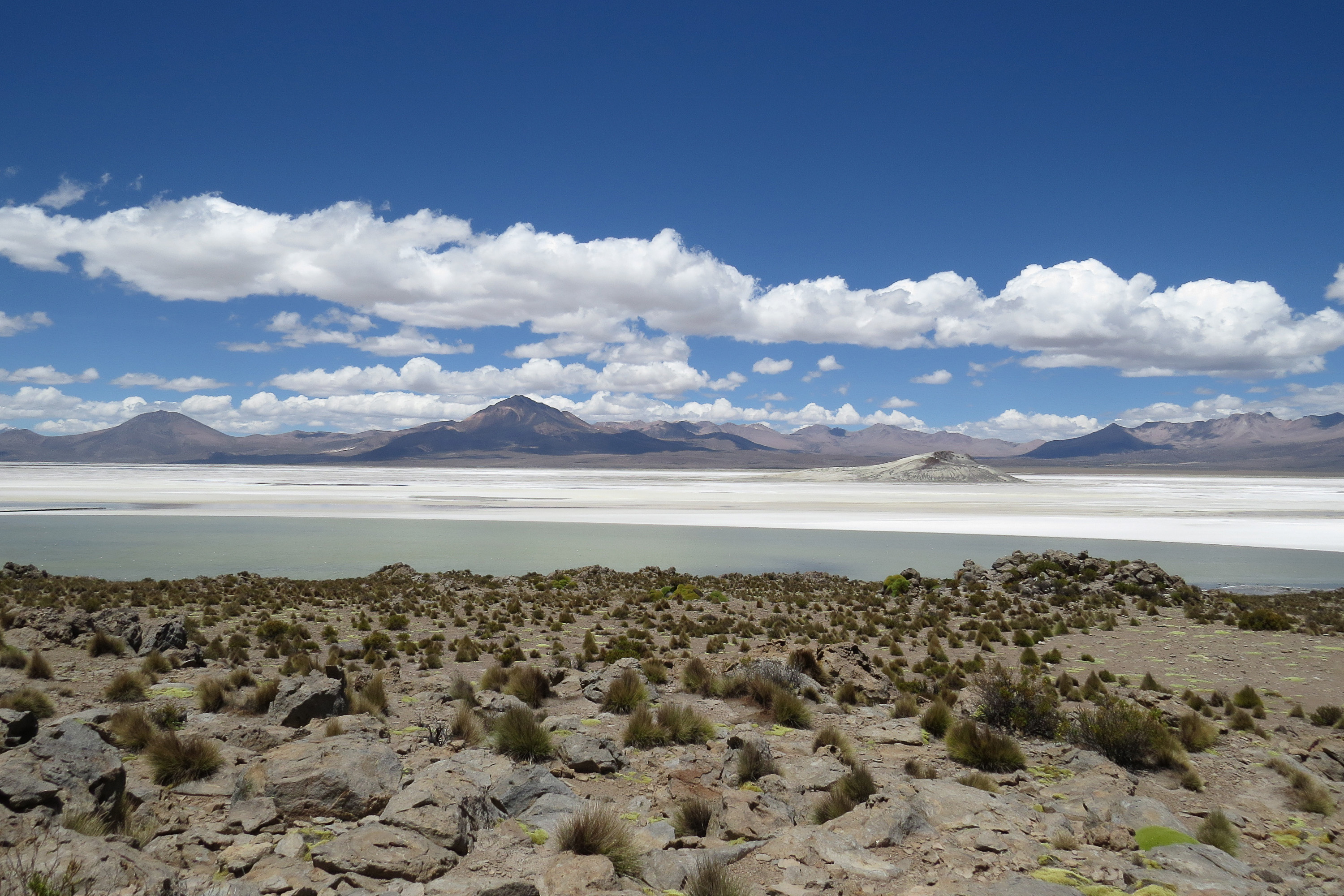 Photo from 19-Day Chile Wildlife Expedition from the Atacama Desert to Patagonia safari tour