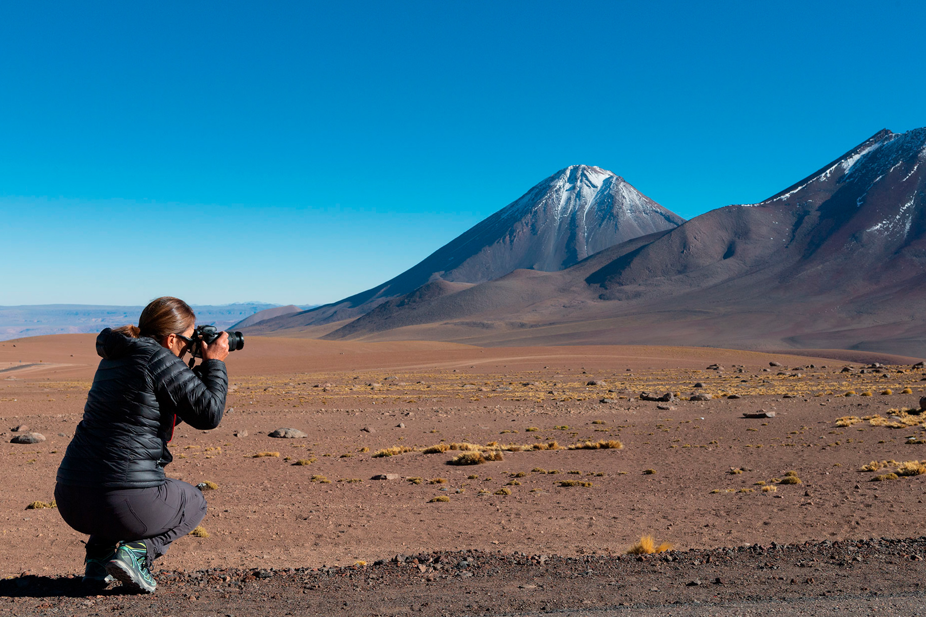 Photo from 19-Day Chile Wildlife Expedition from the Atacama Desert to Patagonia safari tour