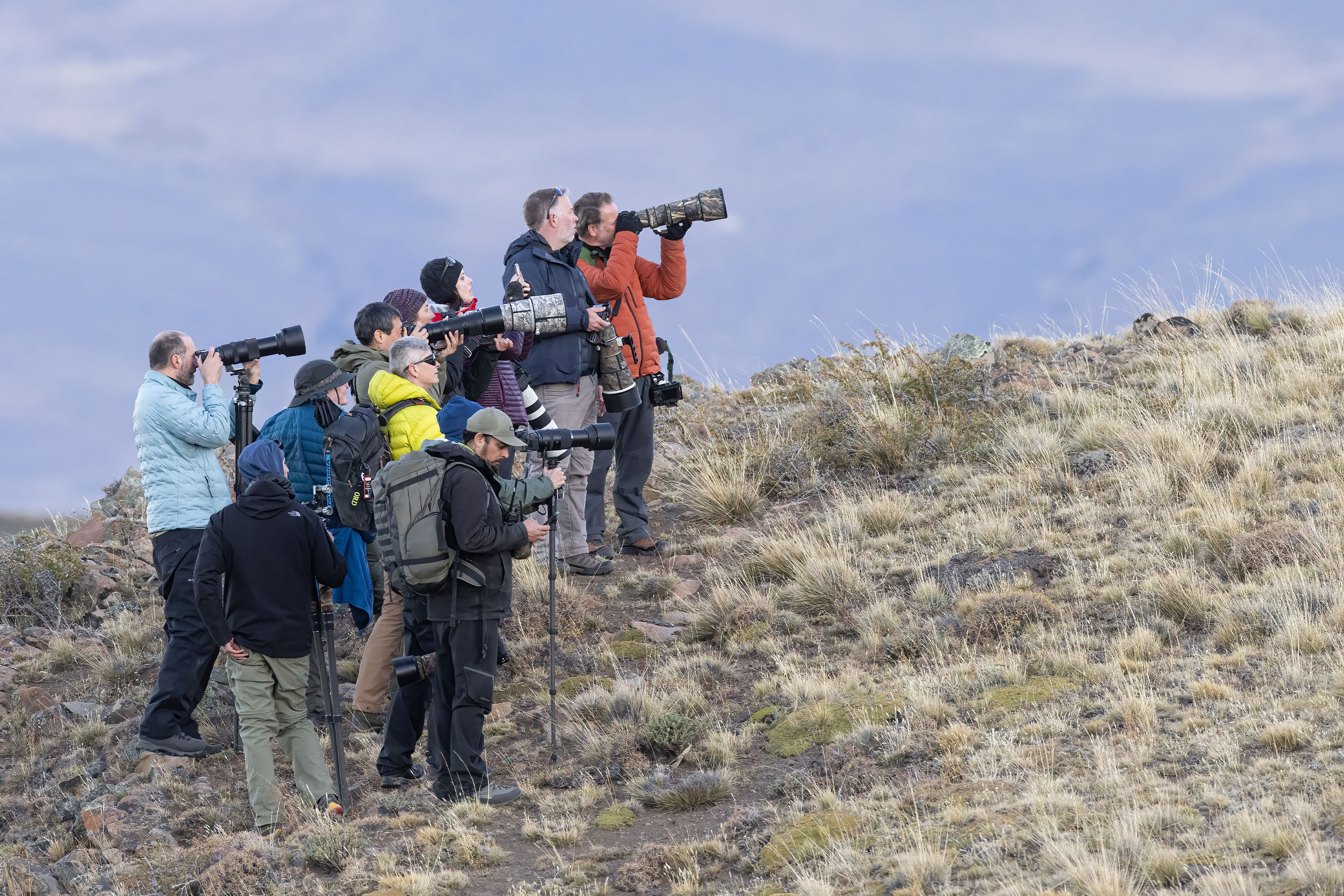 Photo from 19-Day Chile Wildlife Expedition from the Atacama Desert to Patagonia safari tour
