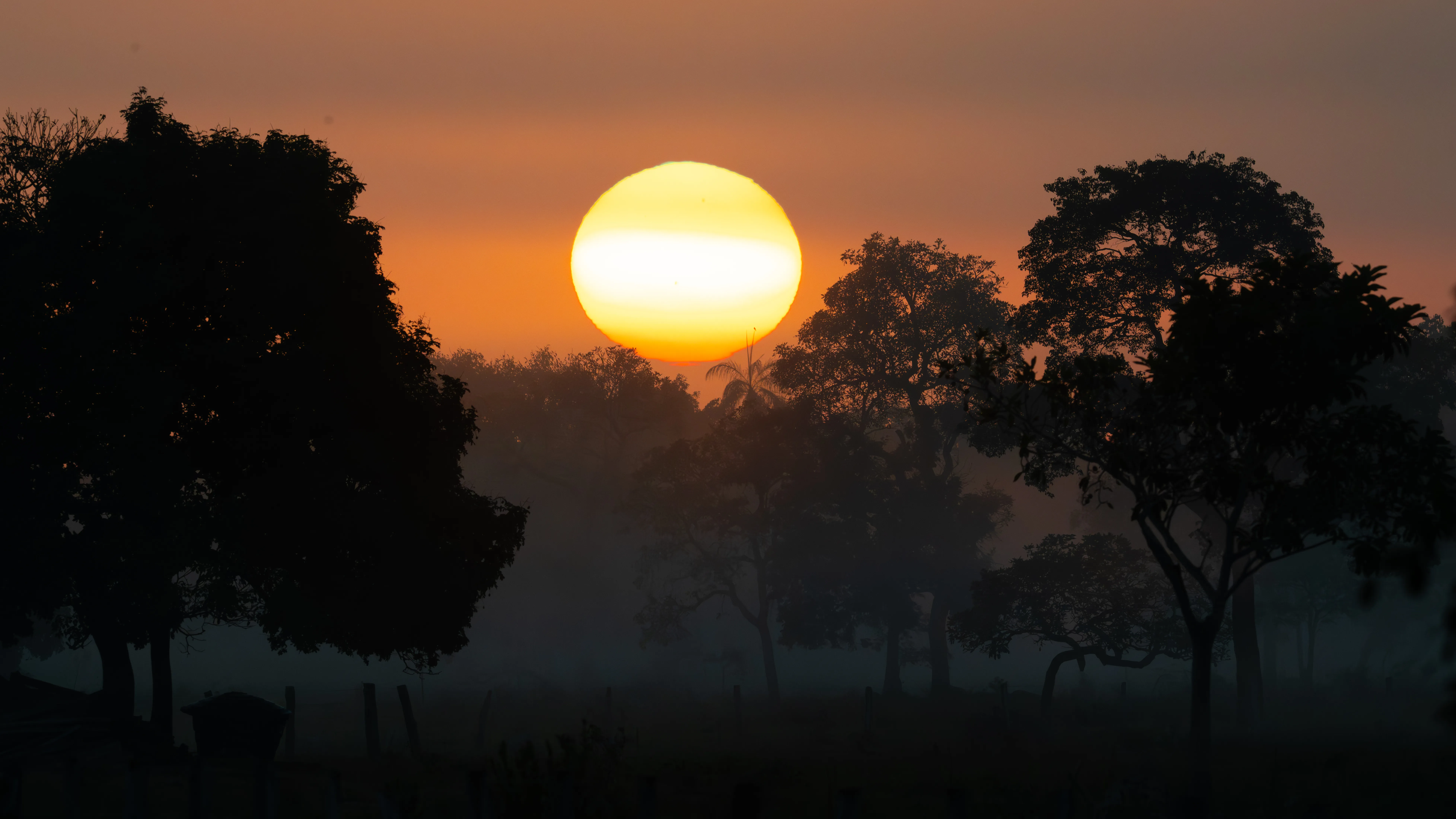 Photo from 9-Day Northern Pantanal Jaguar and Wildlife Photography Expedition safari tour