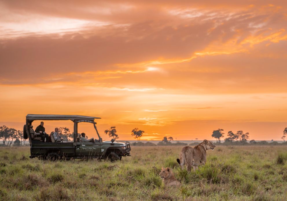 9-Day Kenya Safari: Explore Samburu, Ol Pejeta, Lake Nakuru & Masai Mara