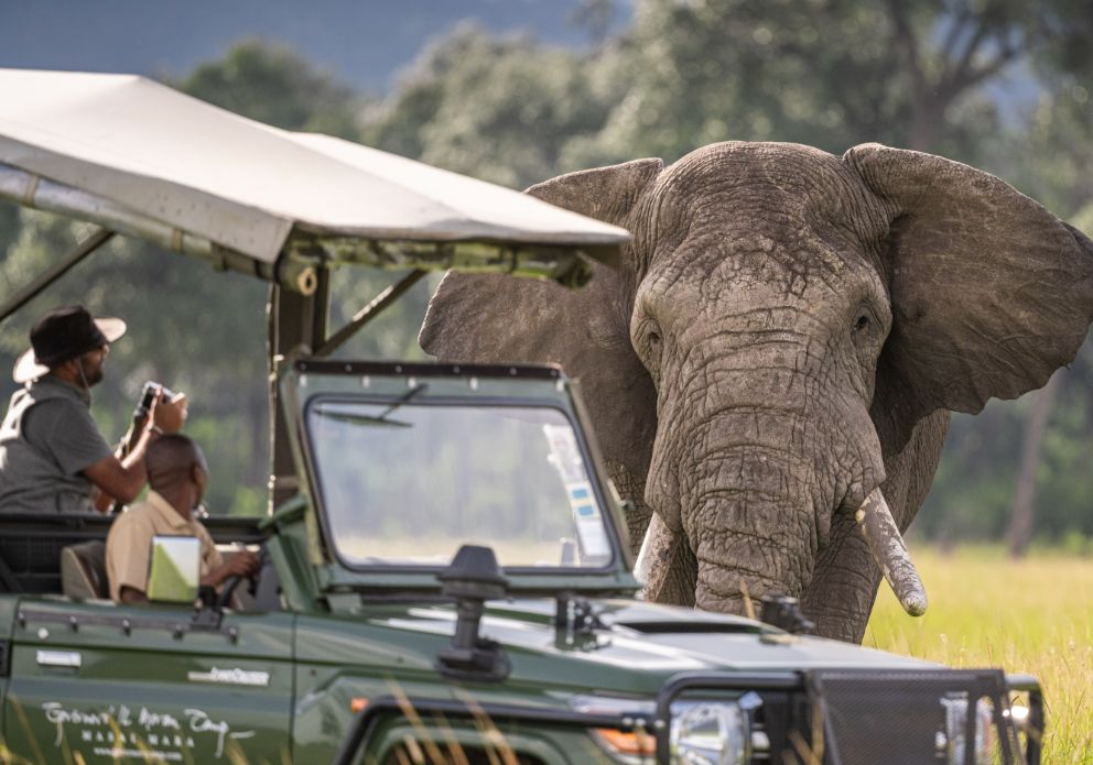 8-Day Fly-In Luxury Safari – Nairobi, Amboseli & Masai Mara