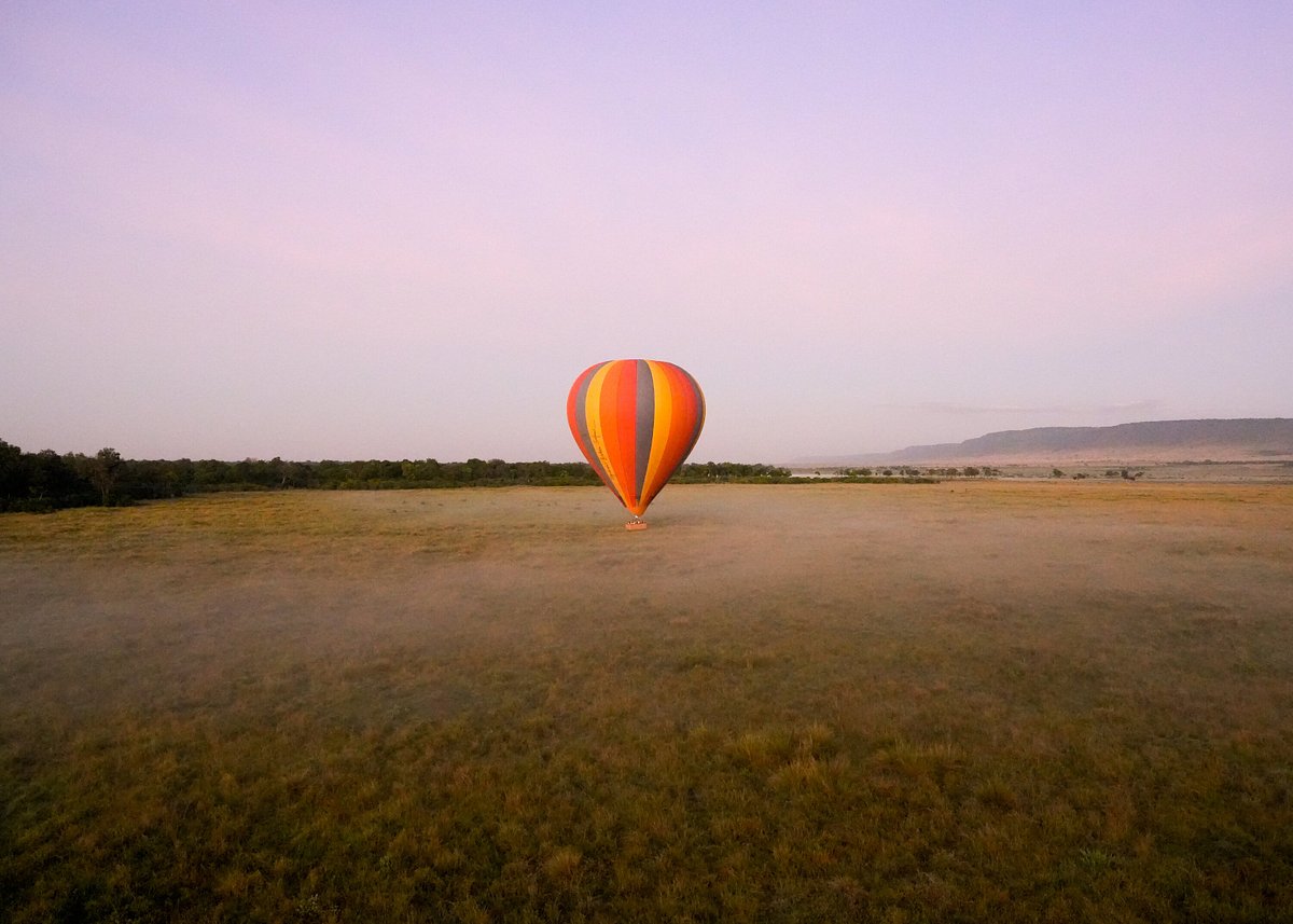 Photo from 6-Day Ultimate African Safari – Stay at Giraffe Manor & Luxury Sala’s Camp in Masai Mara safari tour