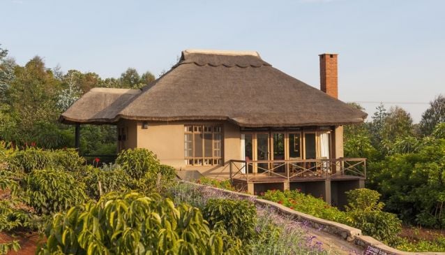 Photo from 5-Day Luxury Safari Tanzania Package: Tarangire, Ngorongoro, Serengeti & Lake Manyara safari tour