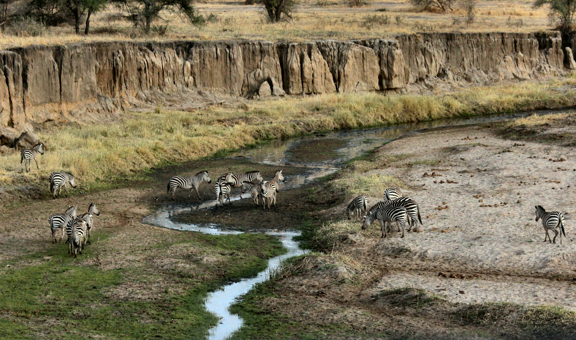 Photo from 5-Day Luxury Safari Tanzania Package: Tarangire, Ngorongoro, Serengeti & Lake Manyara safari tour