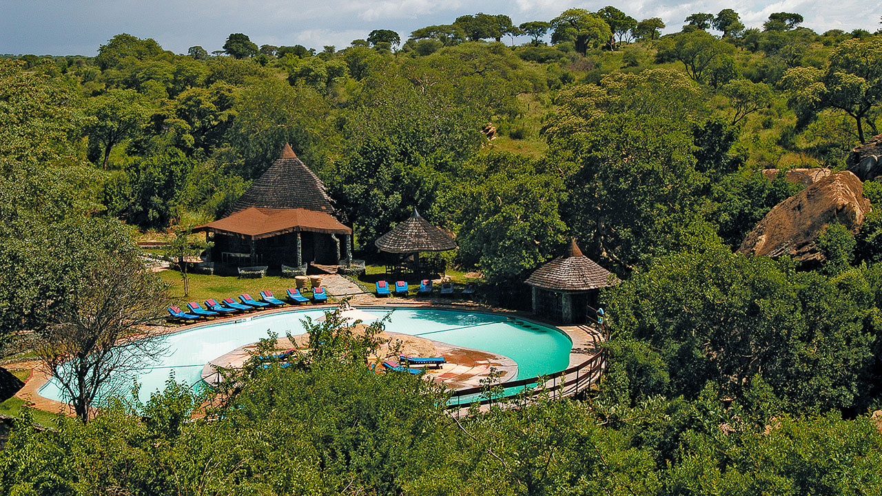 Photo from Romantic Safari Bliss: 13 Days Tanzania Honeymoon Safari Package safari tour