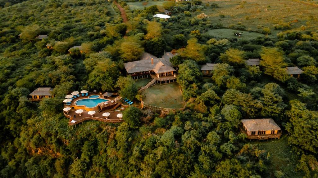 Photo from Romantic Safari Bliss: 13 Days Tanzania Honeymoon Safari Package safari tour