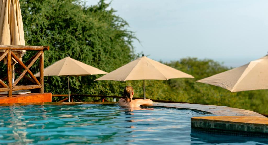 Photo from Romantic Safari Bliss: 13 Days Tanzania Honeymoon Safari Package safari tour