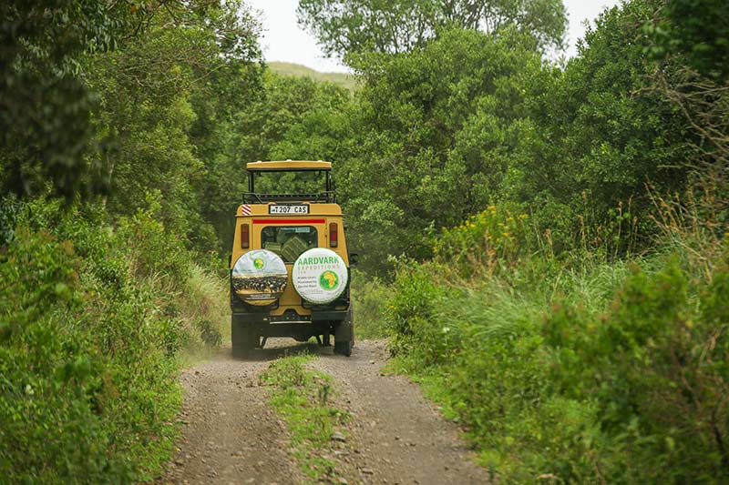 Photo from Romantic Safari Bliss: 13 Days Tanzania Honeymoon Safari Package safari tour