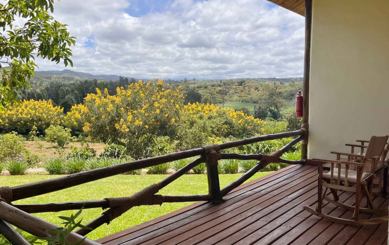 Photo from 6-Day Tanzania Ultimate Big 5 Lodge Safari safari tour