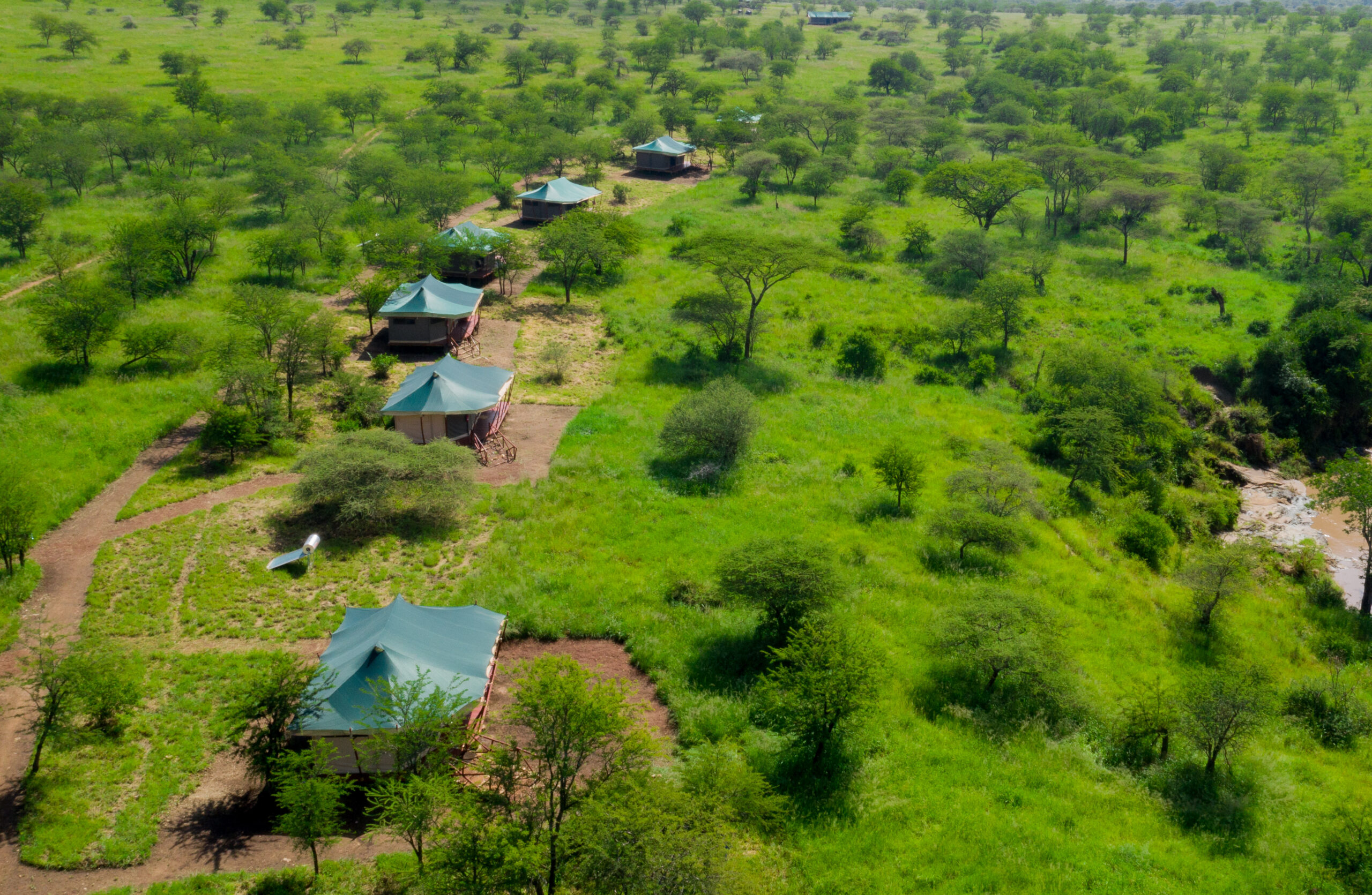 Photo from 6-Day Tanzania Ultimate Big 5 Lodge Safari safari tour