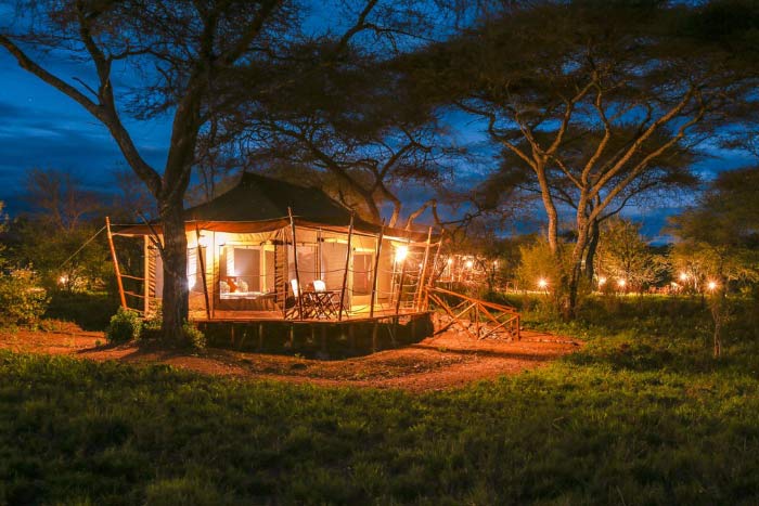 Photo from 6-Day Tanzania Ultimate Big 5 Lodge Safari safari tour