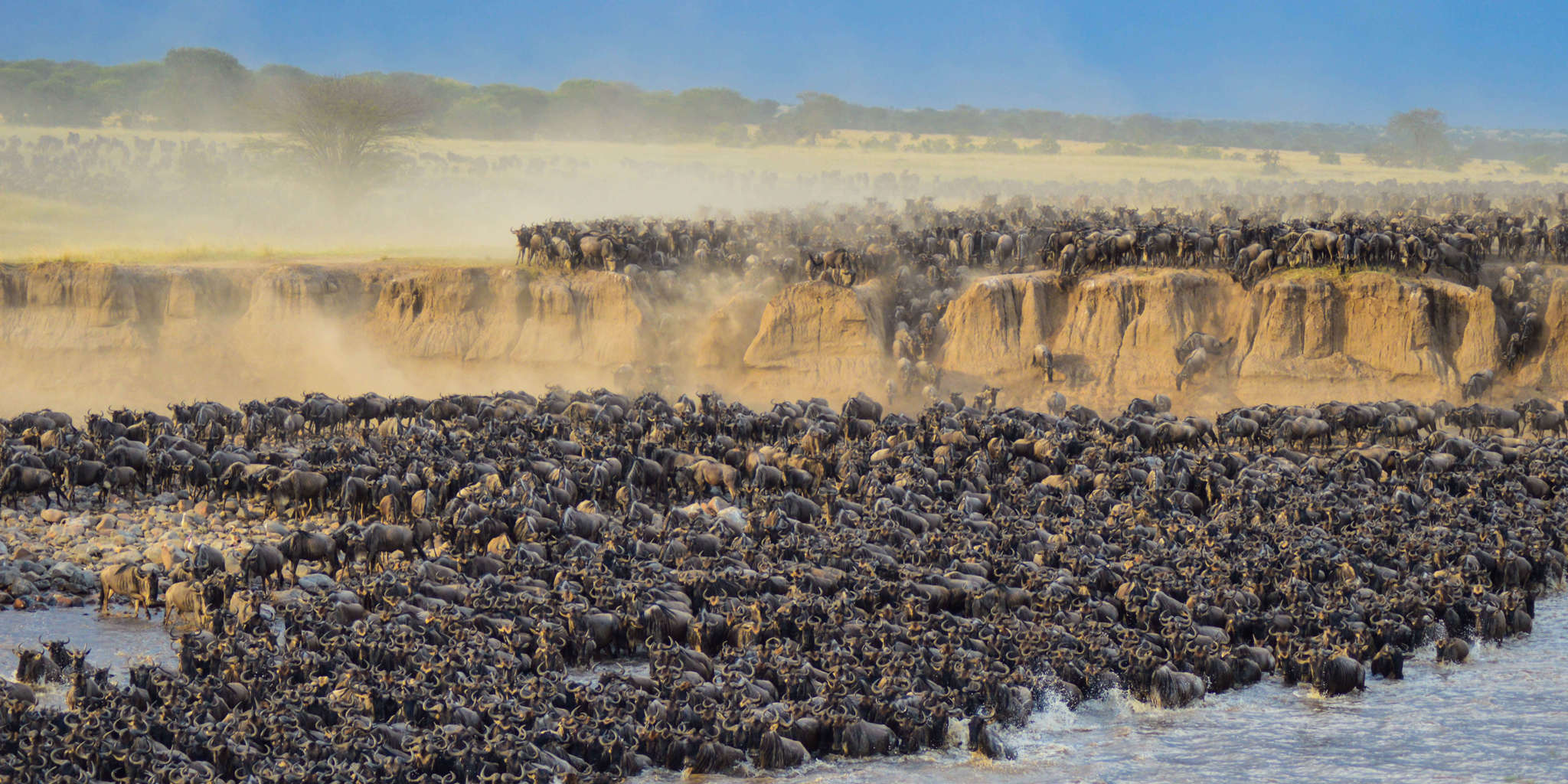 7 Days Tanzania Great Migration Western Corridor