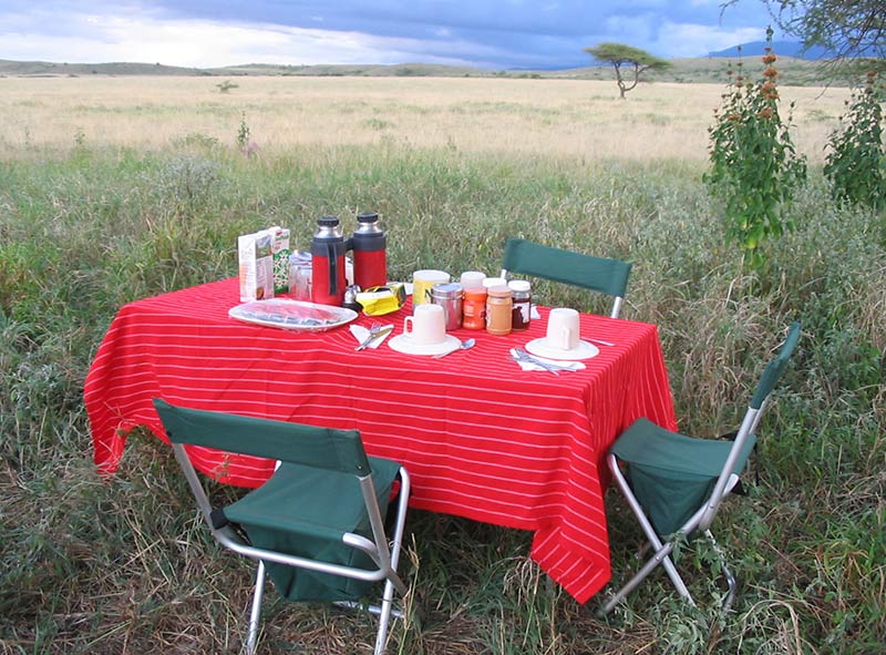 Photo from 4 Days Safari to Lake Manyara, Serengeti & Ngorongoro Crater safari tour