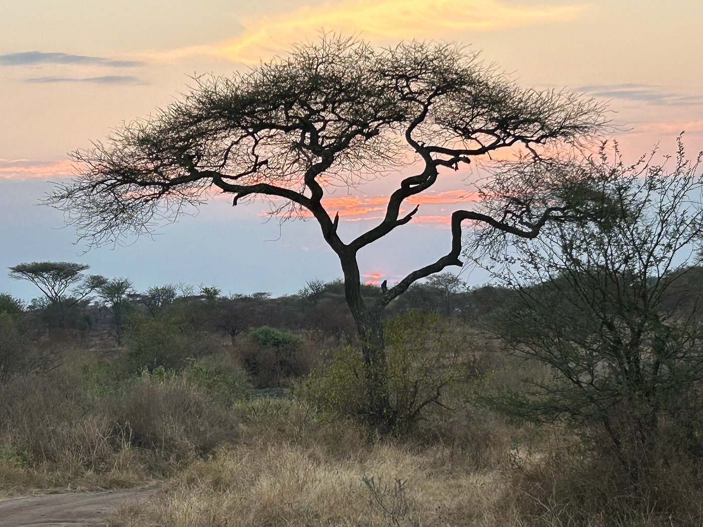 Photo from 5 Days Tanzania the Best Adventure Camping Safari safari tour