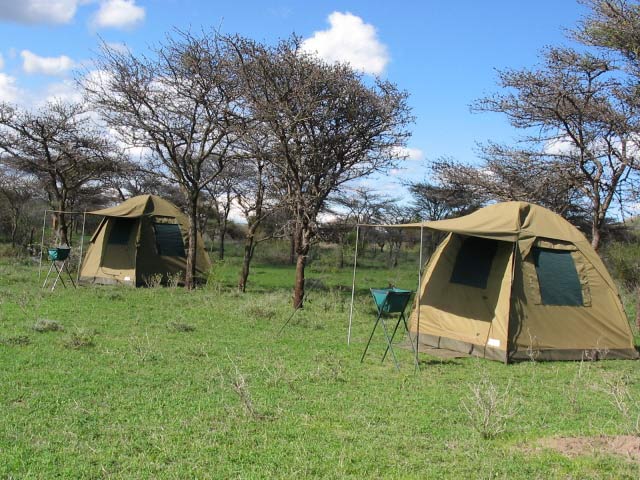 Photo from 5 Days Tanzania the Best Adventure Camping Safari safari tour